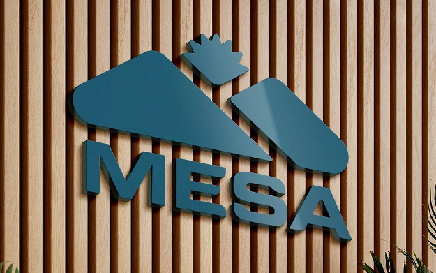 Mesa Brand Hero